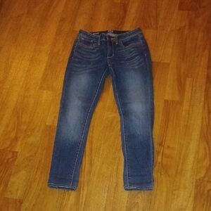 Ana Skinny Ankle Jeans Size 2